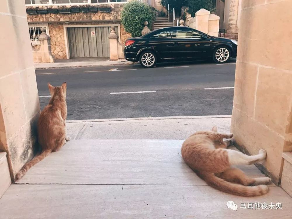 马耳他语言学校的坑