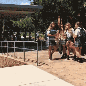 搞笑gif:没想到二师兄穿上泳装竟然是这个感觉