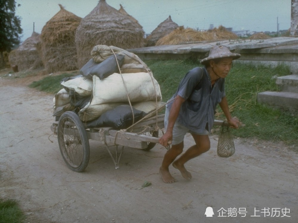 排子车,即板车,不仅是农村人的运输工具,也是非常重要的交通工具