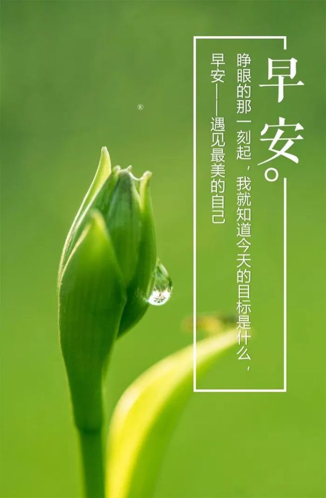 早晨发朋友圈正能量激励语短句配图