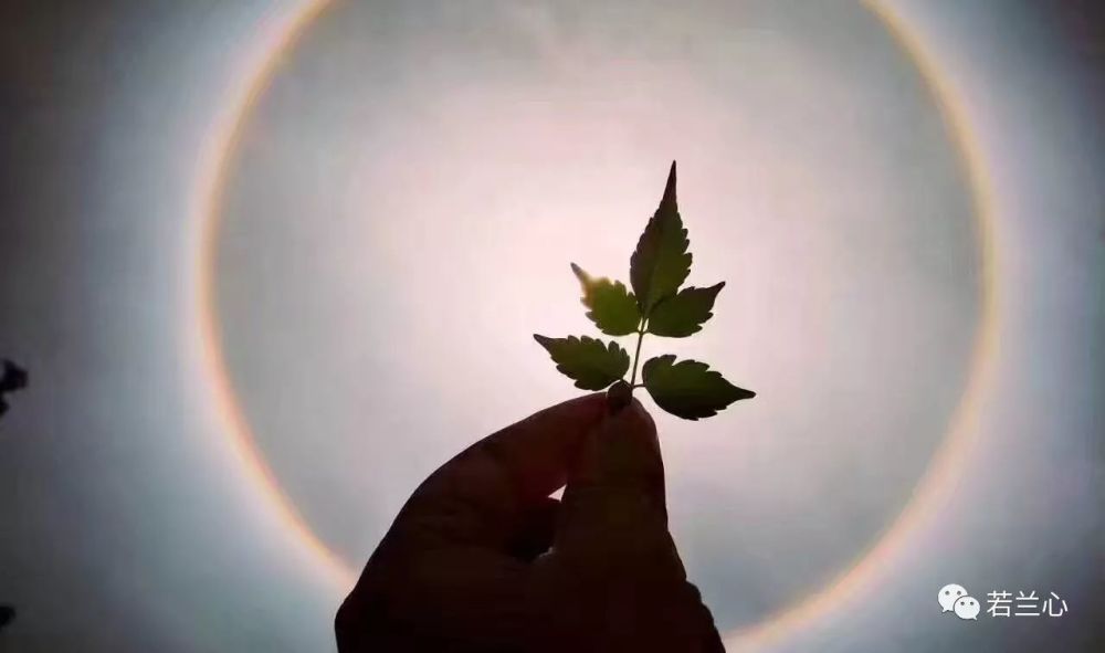 把自己活成一束光
