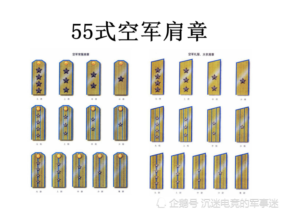 55式空军肩章图