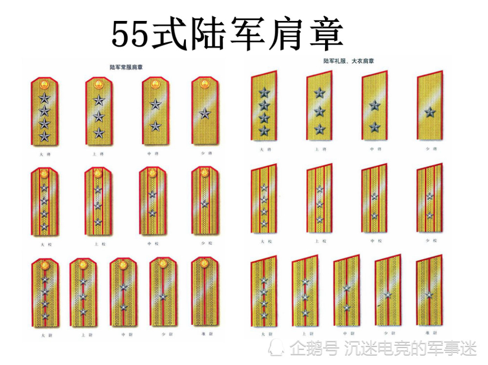 55式陆军肩章图