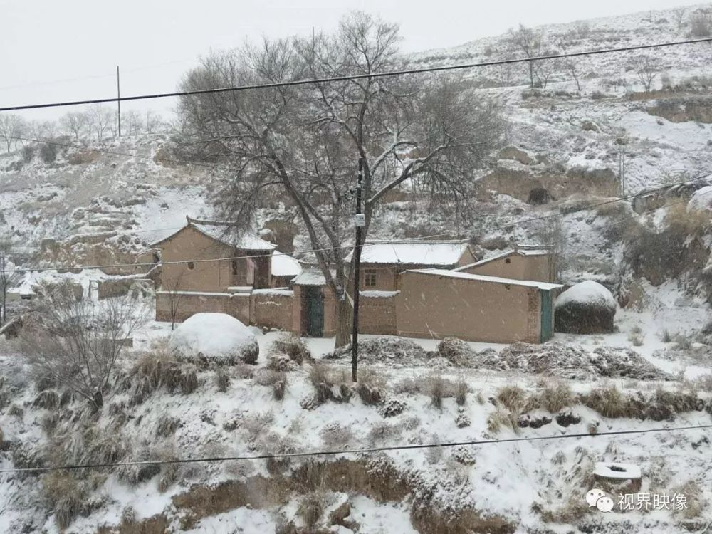 下雪了,多么惬意的农村生活!看看都有哪些地方?