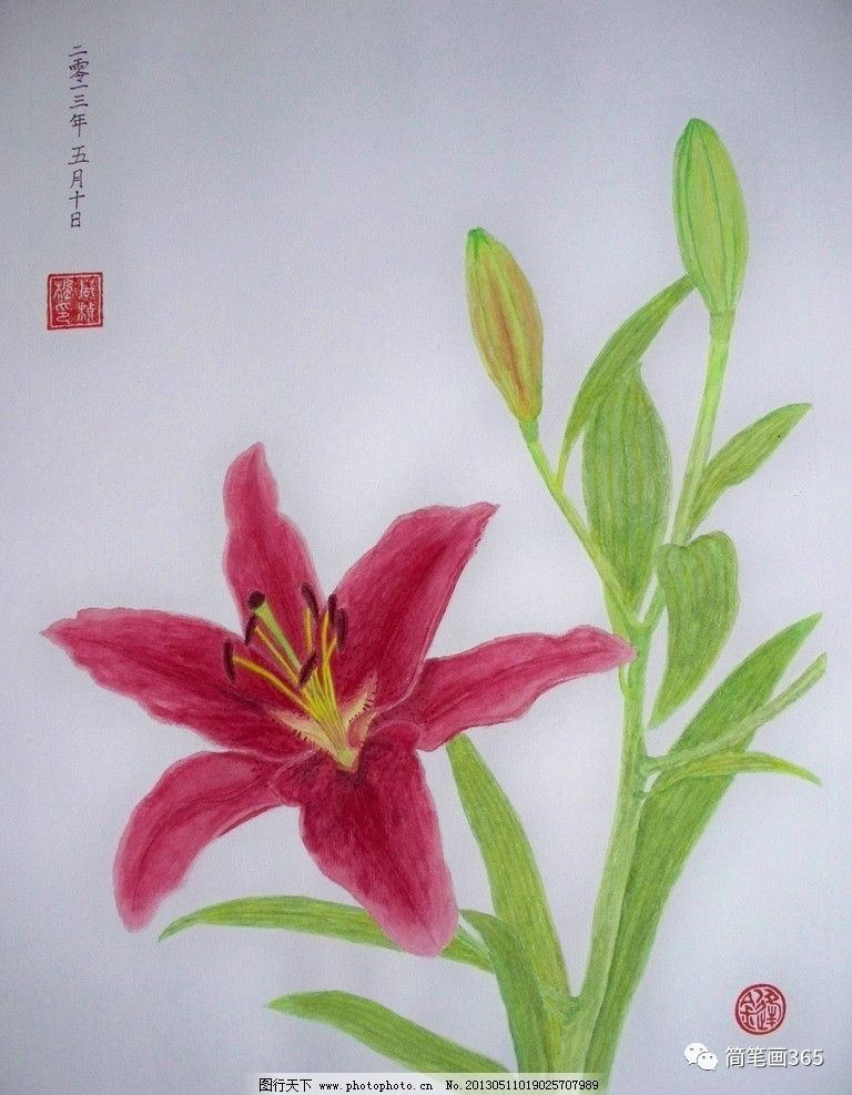水粉画花 简笔画大全