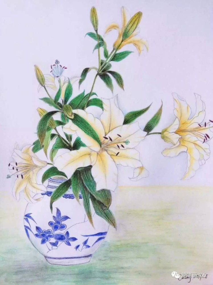 彩铅画花 简笔画大全
