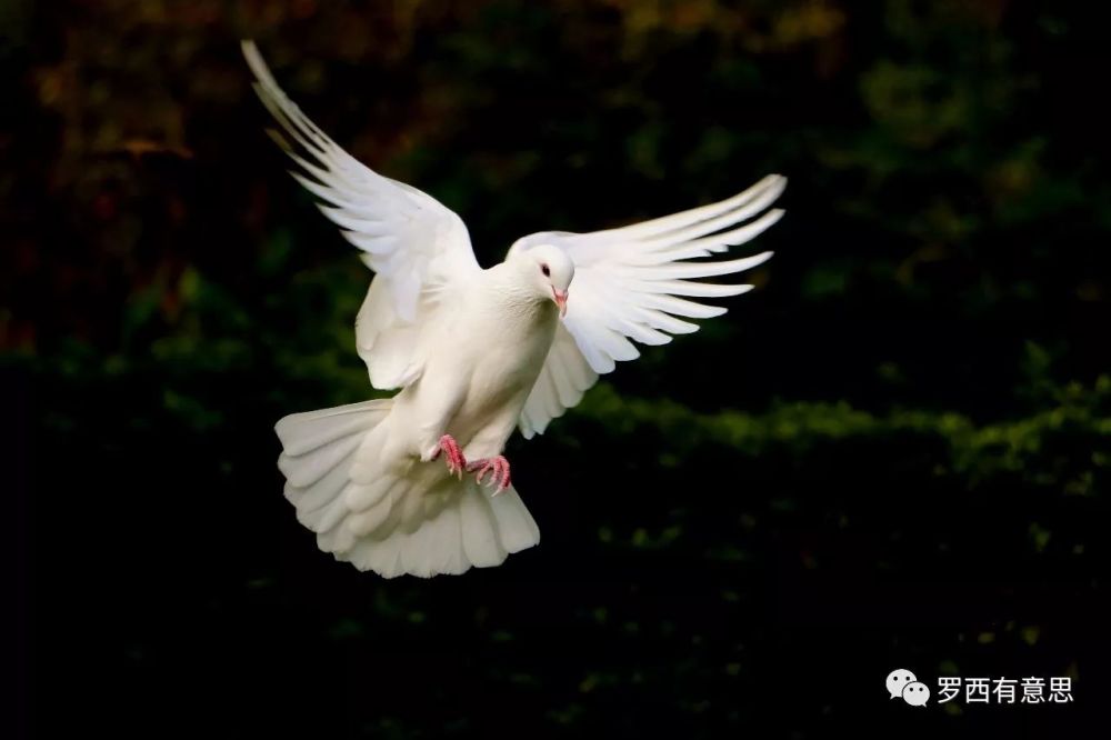 淘宝卖家遭投诉后跑到900多公里外将买家打到