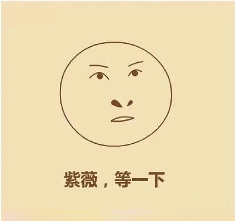 论经典版《还珠格格》谁的表情让你难忘?估计就是小燕子和尔康了!