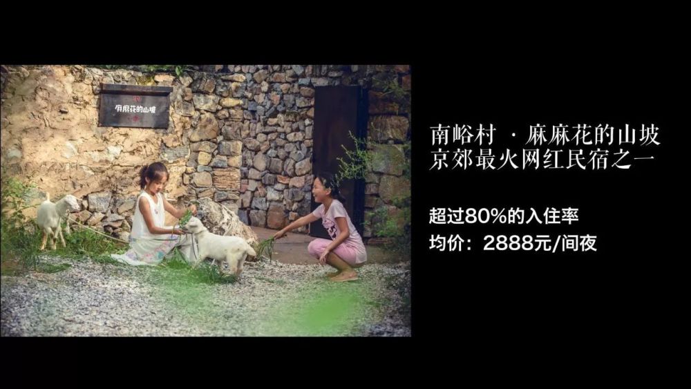 A20演讲:十年试错,关于乡村振兴,中国扶贫基金