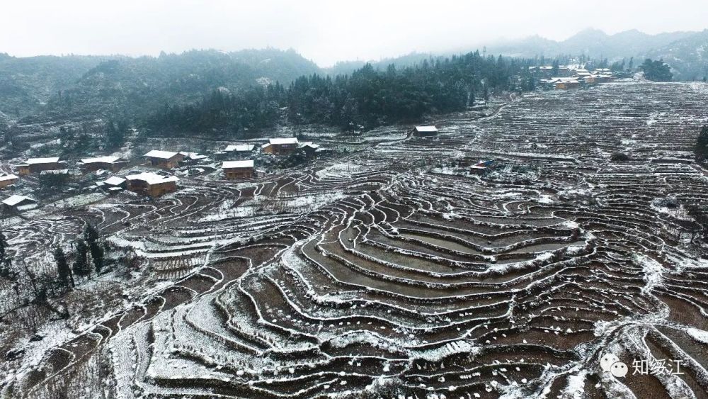云南绥江:夫人坝雪景美如画