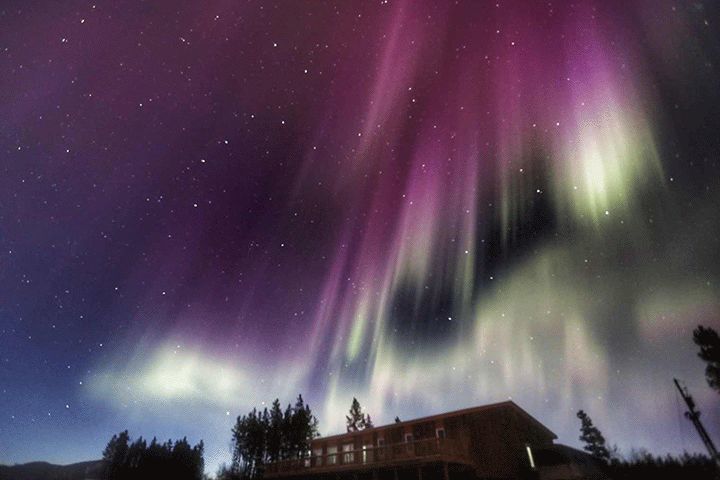 发现特价机票,去加拿大比去日本和泰国还便宜