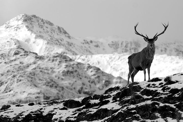 发现特价机票,去加拿大比去日本和泰国还便宜