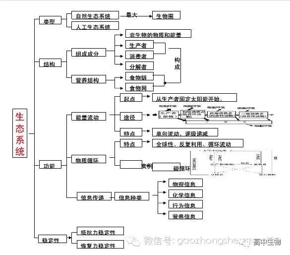 高中生物必修三各章节思维导图,期末复习利器!