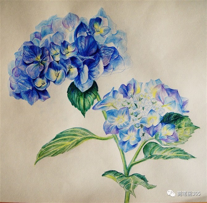 水溶彩铅画 简笔画大全