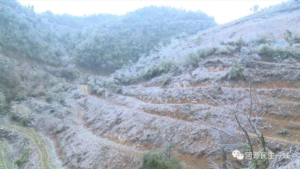 粤北山区跌破零度,河源迎来今年第一场雪