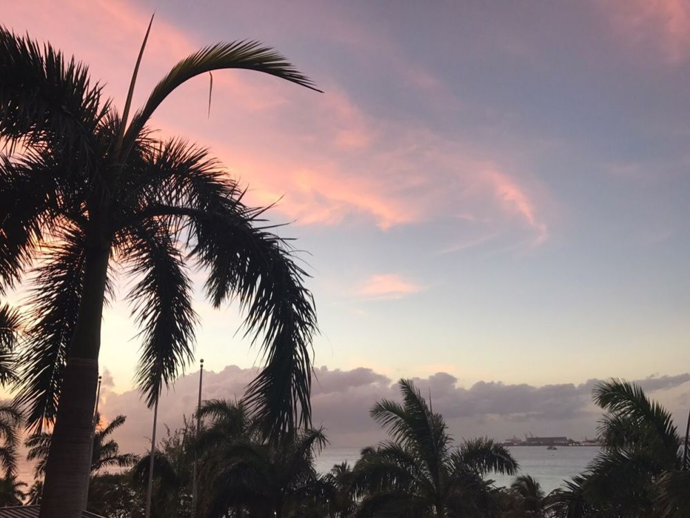 2018最新免签国家清单,中国护照再升值!白本也