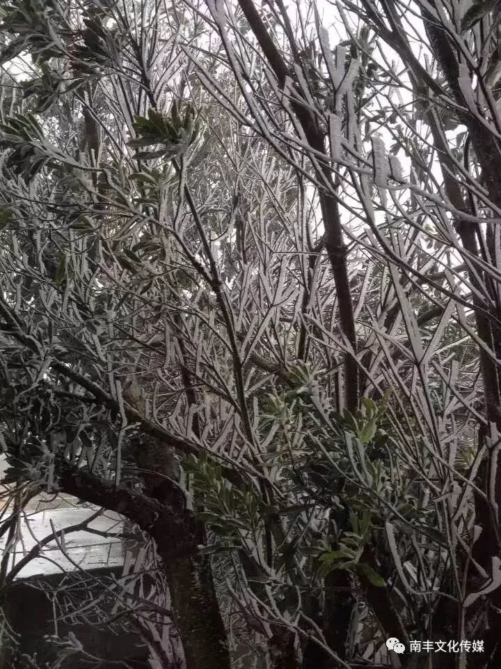 2018年封开第一场雪!封开麒麟山冰雪世界美极