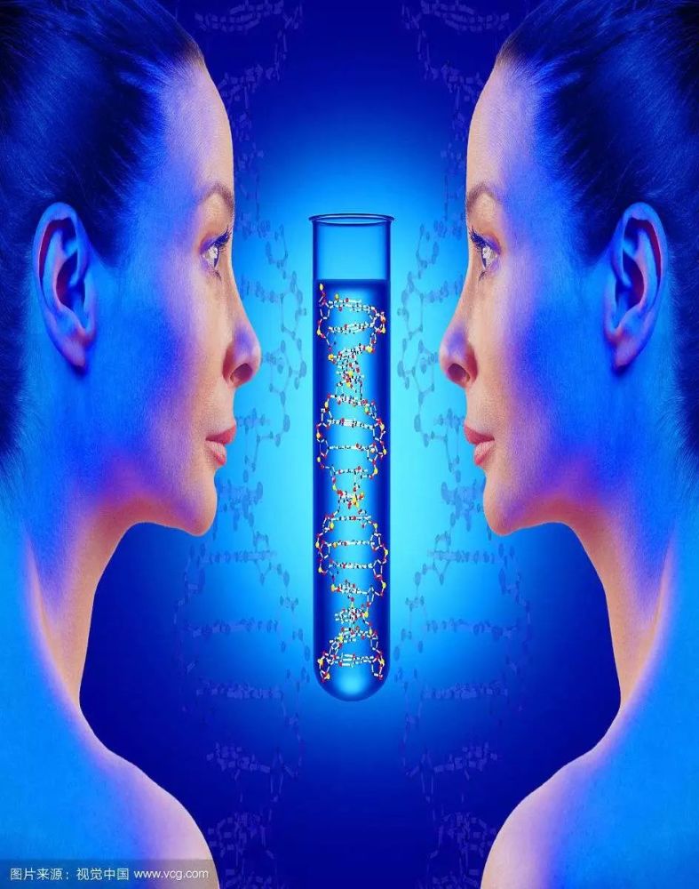 CATTI笔译实务:被动句和主动句