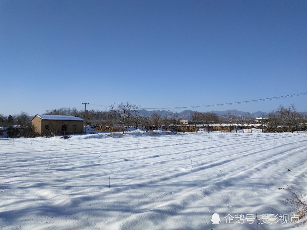 陕西富平农村雪景简直漂亮的像仙境
