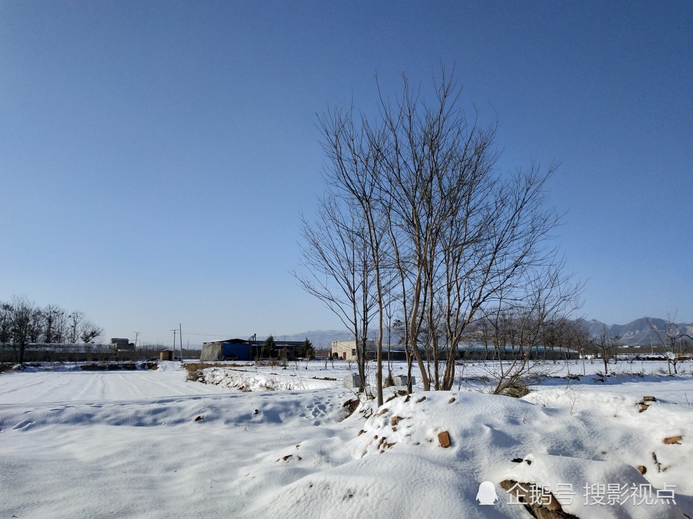 陕西富平农村雪景简直漂亮的像仙境