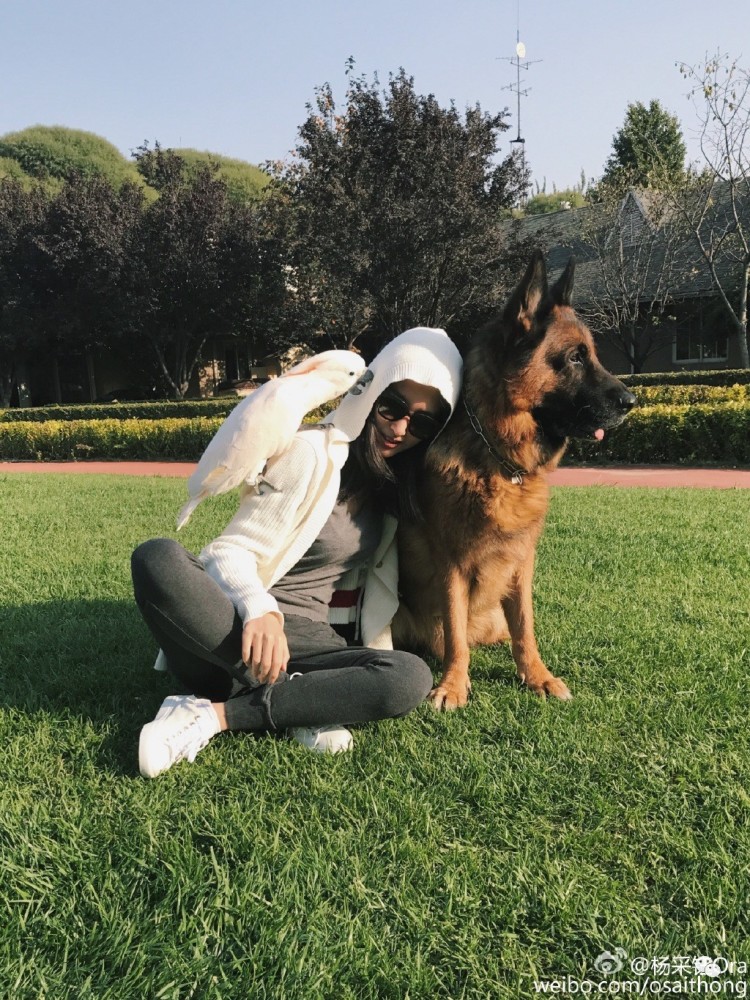 刘亦菲干爹是她男友,《芳华》也没把她捧红,被