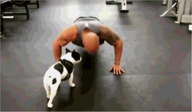 ʯǿɭһش󼡣