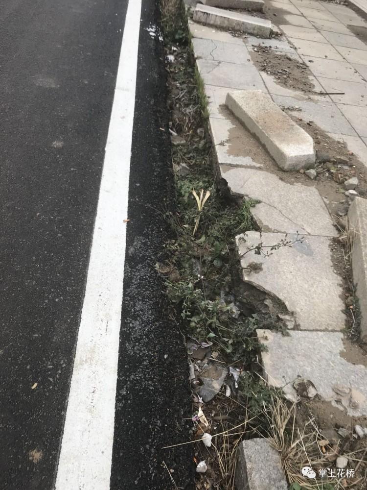 花桥老街的站石"站"起来了