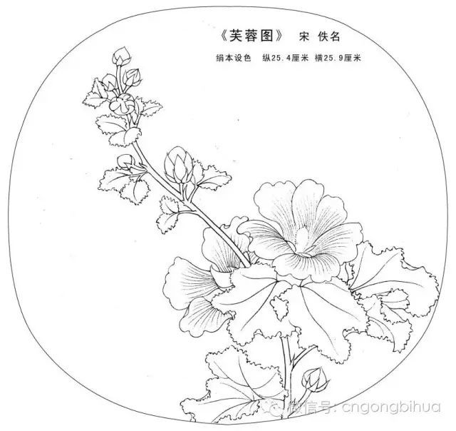 宋画经典花鸟小品.白描图稿