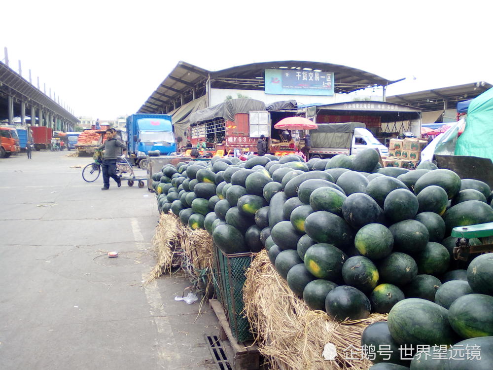 中国最大水果蔬菜批发市场,国内70%的进口水