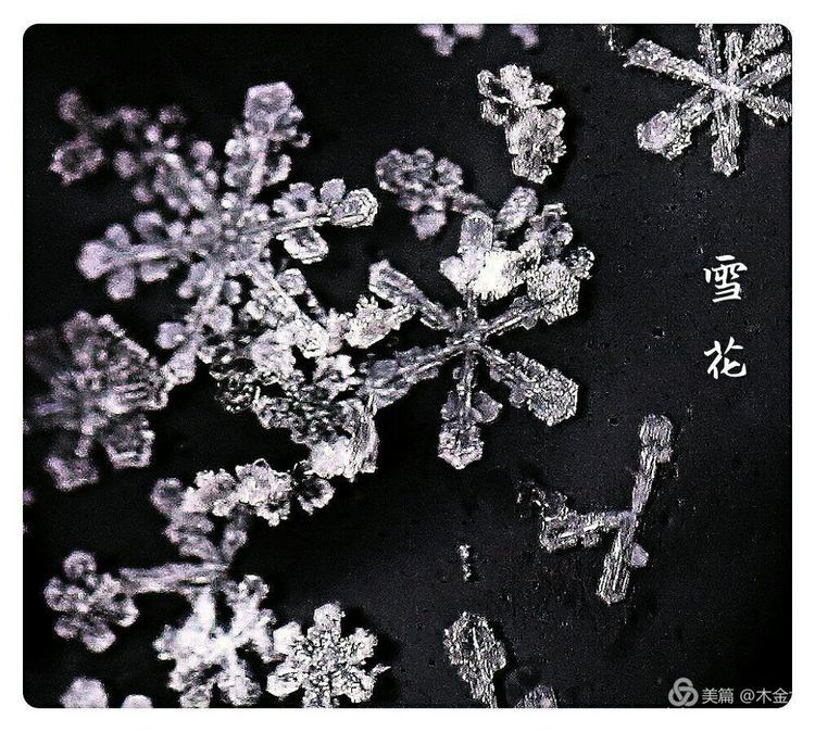 漫天飞舞的雪花这么美,你居然不知道它有多少种?