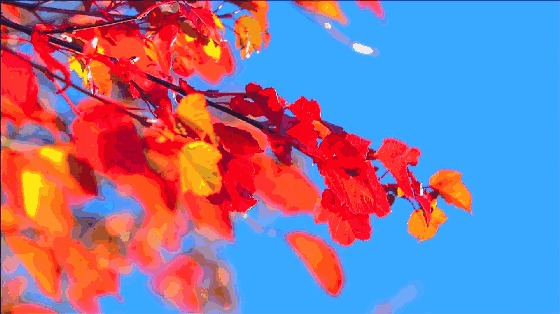 十月,来一场不负秋景的自驾!观漫山红叶,层林尽染!