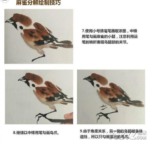 国画入门:麻雀的简单画法