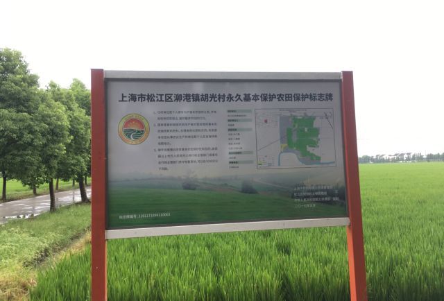 国家发布设施农用地政策新地标,经济作物配套