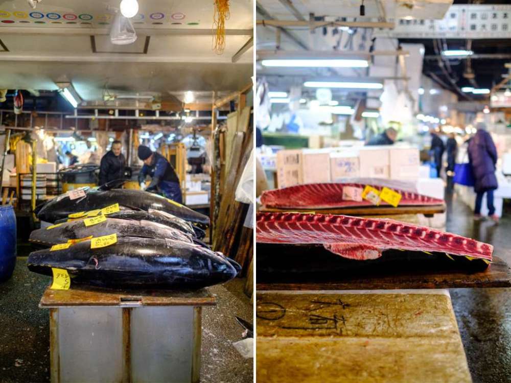 世界最新鲜的鱼市场,日本筑地鱼市场出售天价金枪鱼