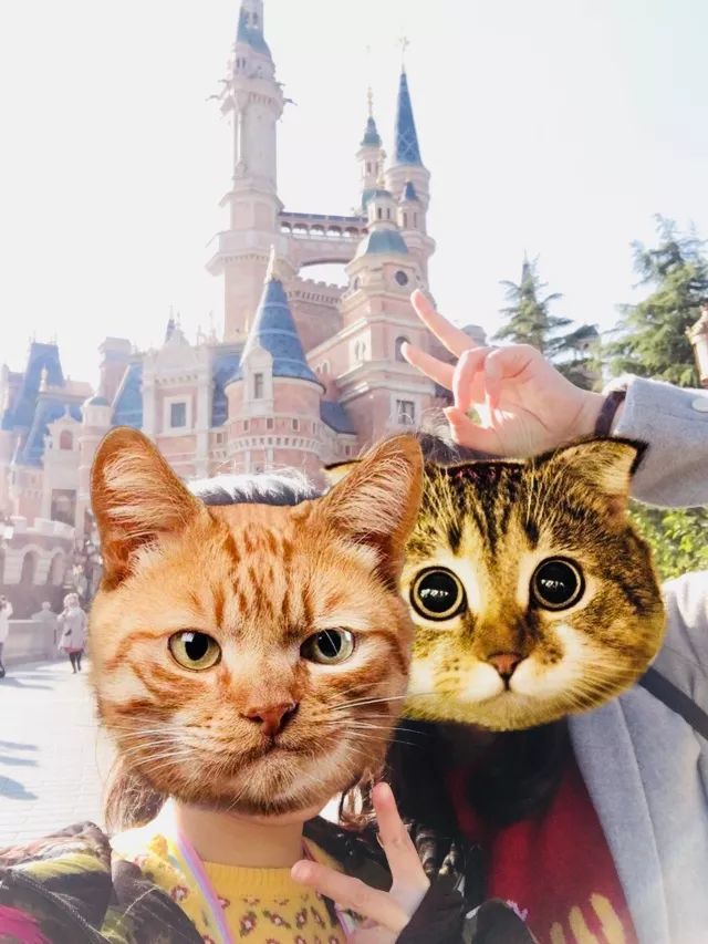 上海迪斯尼冬日打卡指南