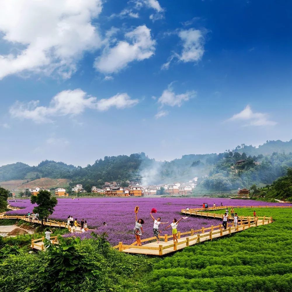 播州区花茂村 花溪区久安村 关岭县落叶新村 六枝特区太和村 大方县