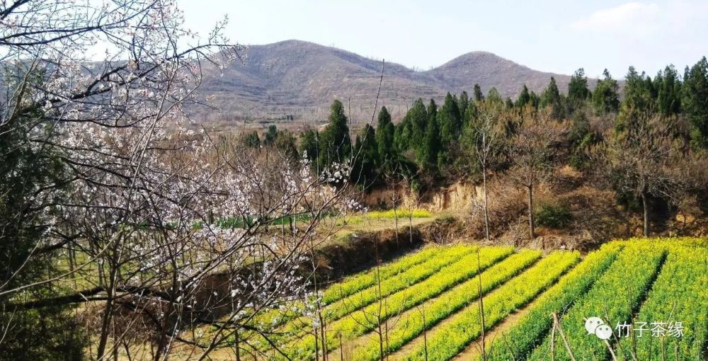 那山那水那记忆之荥阳万山森林公园