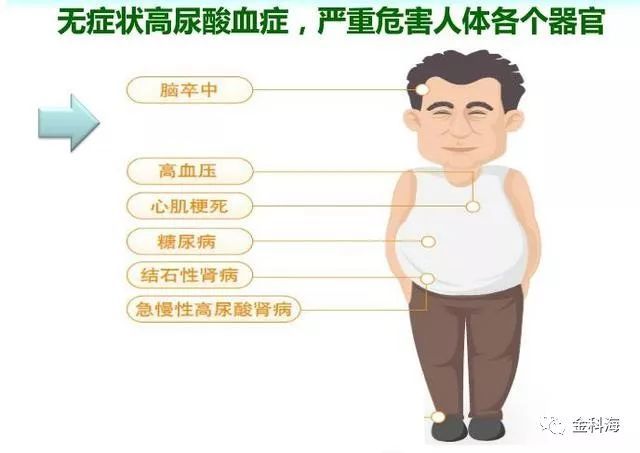 沙棘\/\/尿酸高多吃这种碱性食物,摆脱痛风困扰!