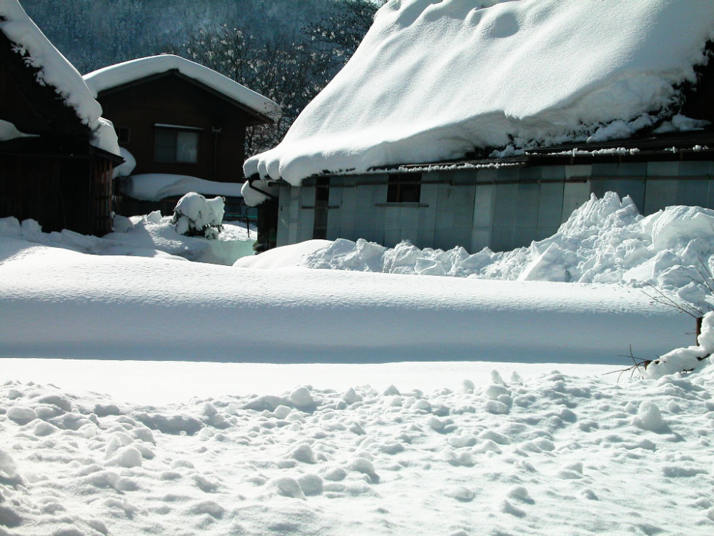 高清白雪皑皑的雪景图片,美妙景色,十分的唯美