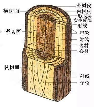 为什么红木家具存在色差