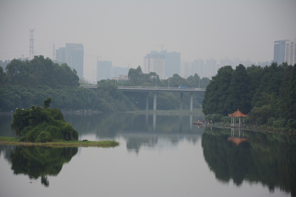 深圳洪湖公园,适合去钓鱼的好地方,湖的面积广