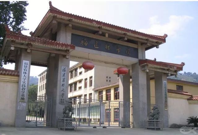 在福建农林大学就读是什么样的体验?