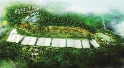 贵州4园区入选首批国家农村产业融合发展示范