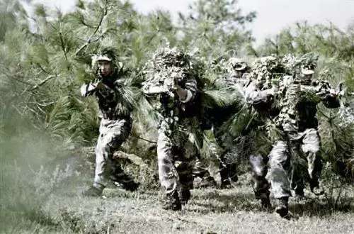 侦查兵放屁不出声这能理解,可是越战时,为何侦察兵酒量至少一斤