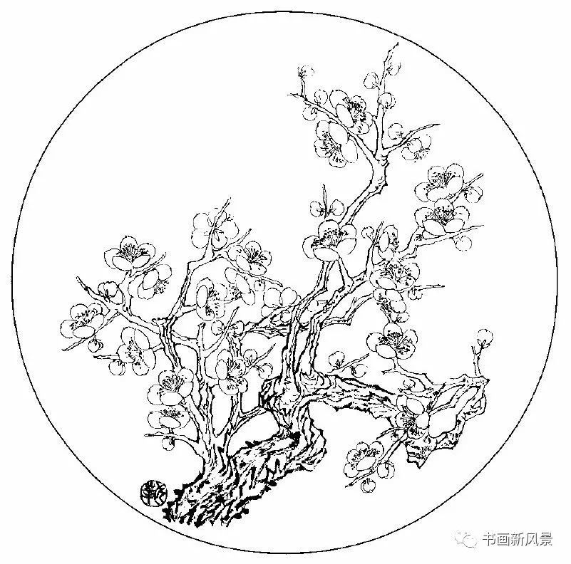 这组白描梅花太美了!