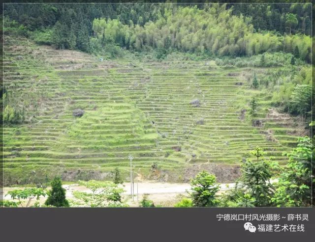 宁德岚口村风光摄影纪行