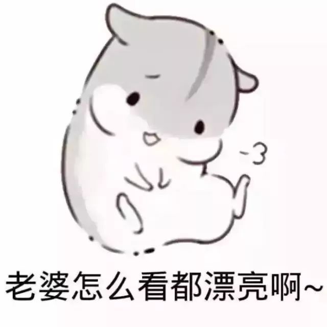 讨好老婆专用表情包