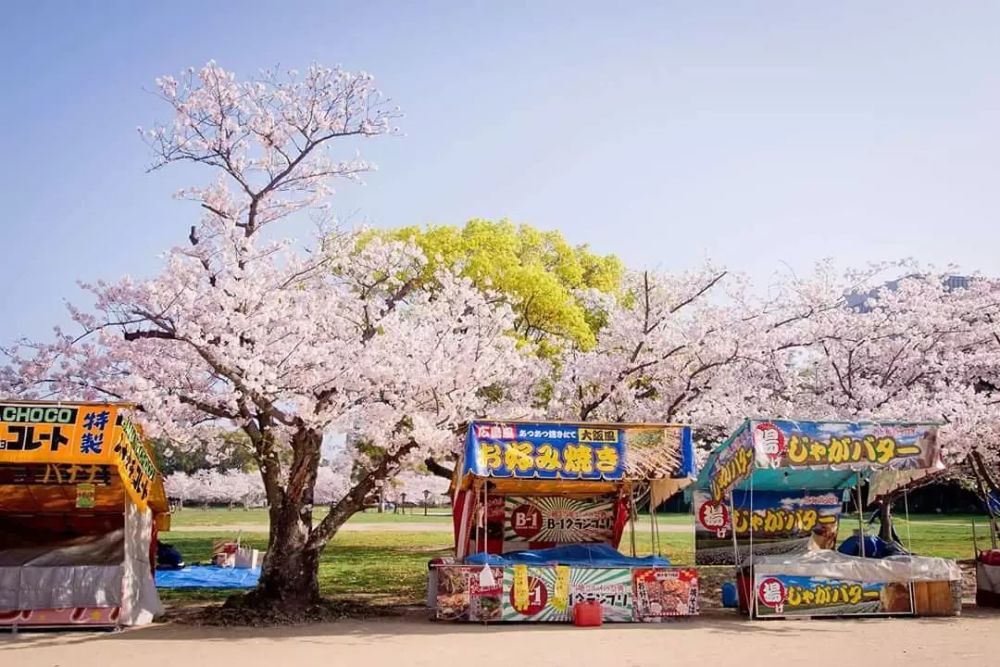18年日本樱花开花预测 听说日本樱花季的酒店几乎订完了 看点快报