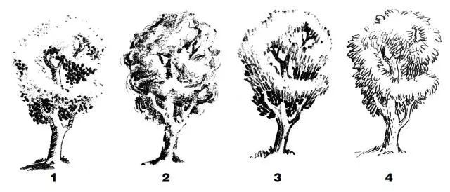 风景素描入门练习:同一棵树的20种不同画法
