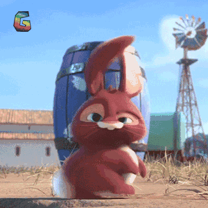 继手机之后,航空公司又一重大解禁!国内坐飞机可以携带宠物了